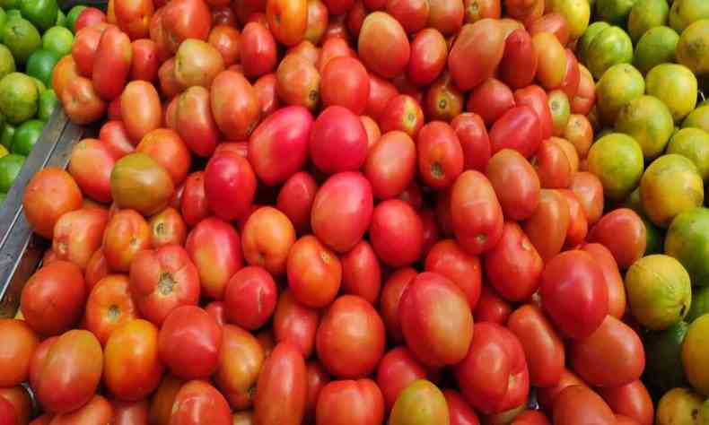Banca de tomates 