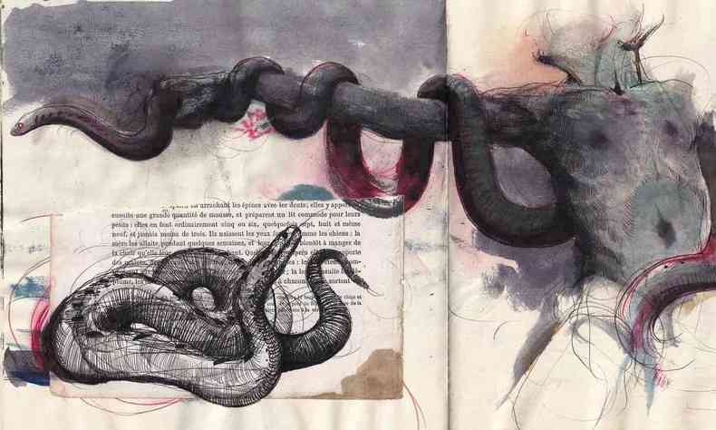 Cobras tm destaque em obra do artista plstico Manasss Muniz 