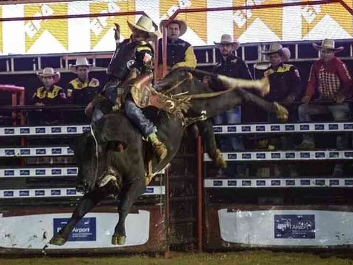 Após campanha na internet, justiça proíbe rodeio na Festa do Peão de  Boiadeiro de Maricá - Rio - Extra Online