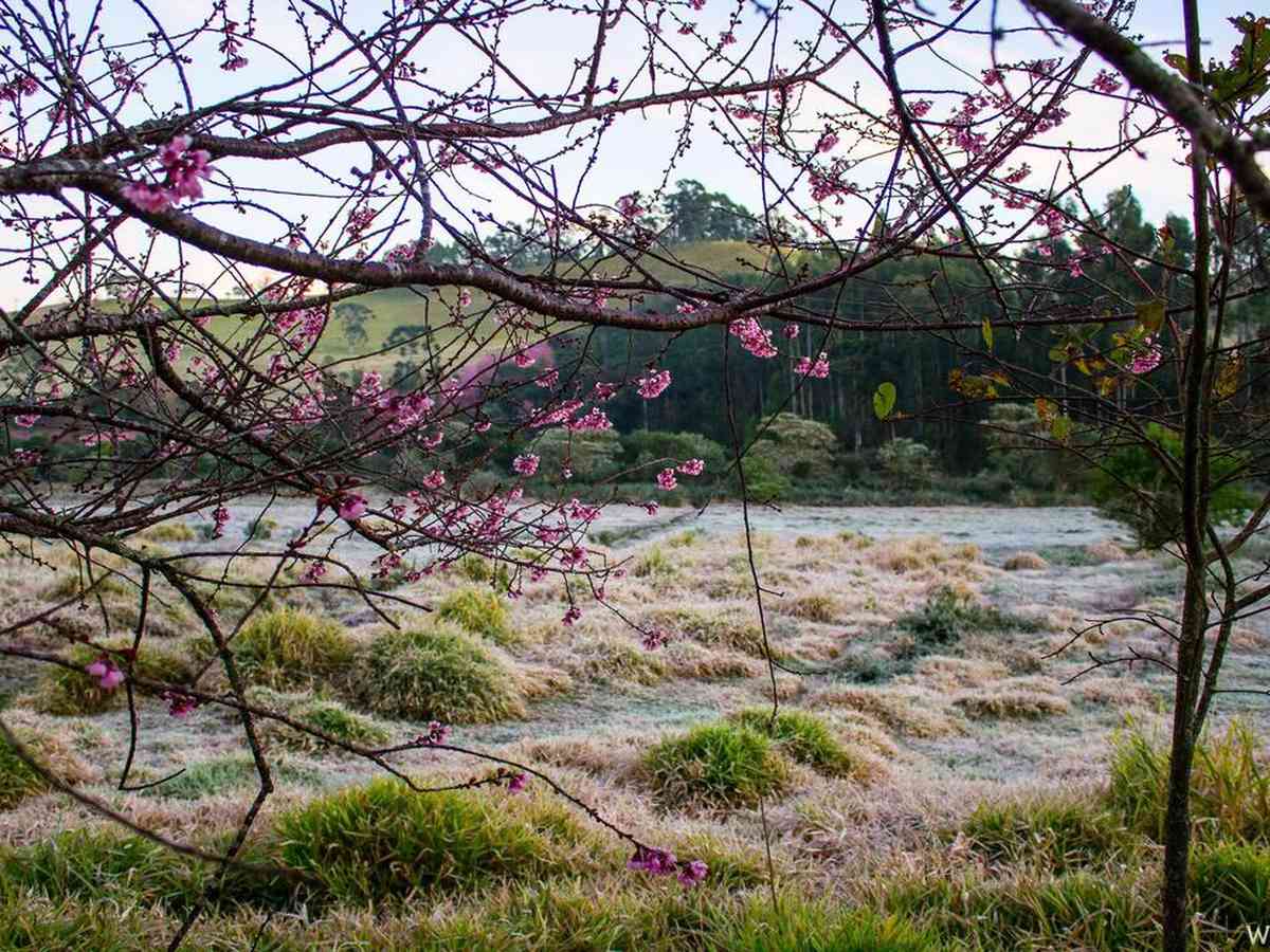 INVERNO Clima frio pode mudar no final de semana no Sul de MG