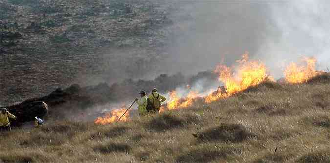 A rea consumida pelo fogo j passa de 1,5 mil hectares(foto: ICMBio/Divulgacao )