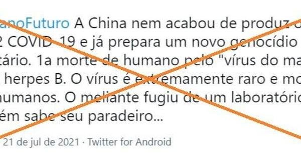 O vírus B que matou um veterinário na China não é novo e infecção em humanos é rara - Vimarsana News