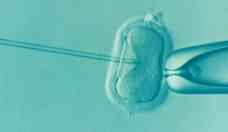 No confunda infertilidade com esterilidade; saiba a diferena