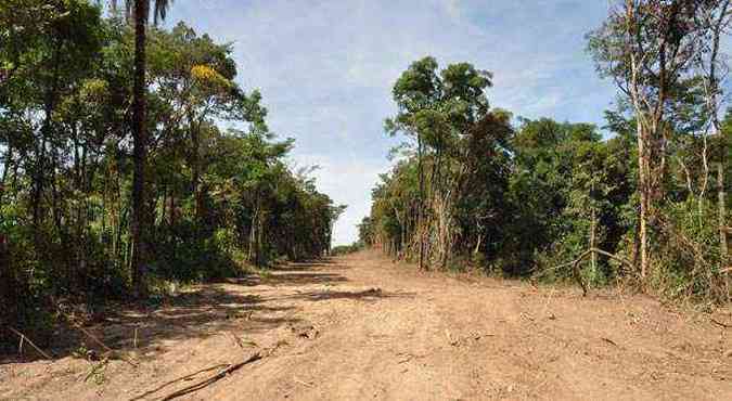 Desmatamento em Contagem. Minas Gerais  um dos estados com mais perdas de mata Atlntica(foto: Elias Ramos/ PMC)