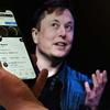Elon Musk diz que vai mudar logo do Twitter