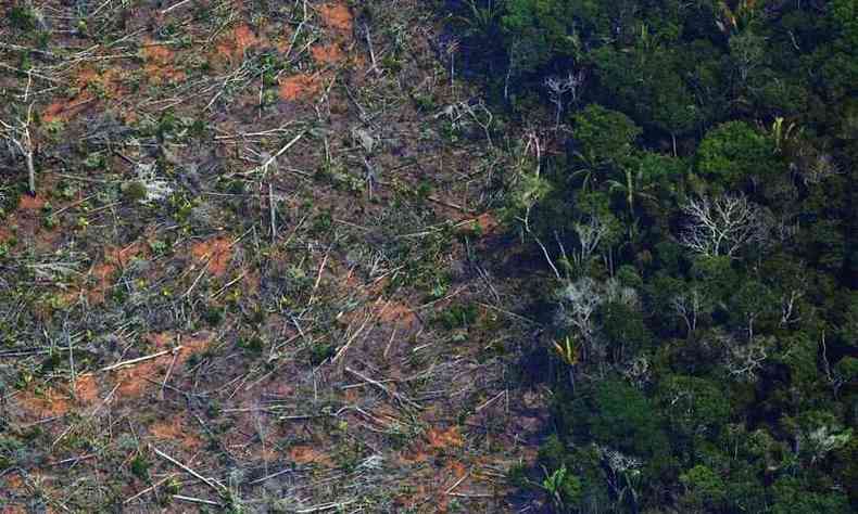 AGU j requereu a reparao ambiental de 95 mil hectares, quase R$ 2,2 bilhes expresso em pecnia(foto: Carl de Souza/AFP)