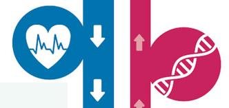 Clique aqui e entenda melhor a pesquisa