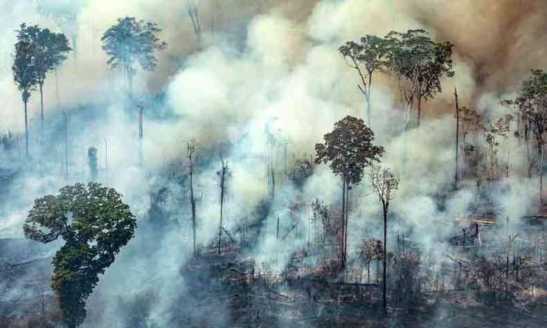 Fogo na Amaznia: para especialistas, pas perdeu protagonismo na rea ambiental (foto: VICTOR MORIYAMA/afp - 15/8/19)