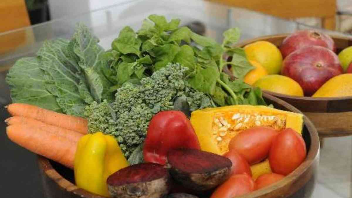 Plant based diet: conheça a dieta a base de plantas - Ifope Blog