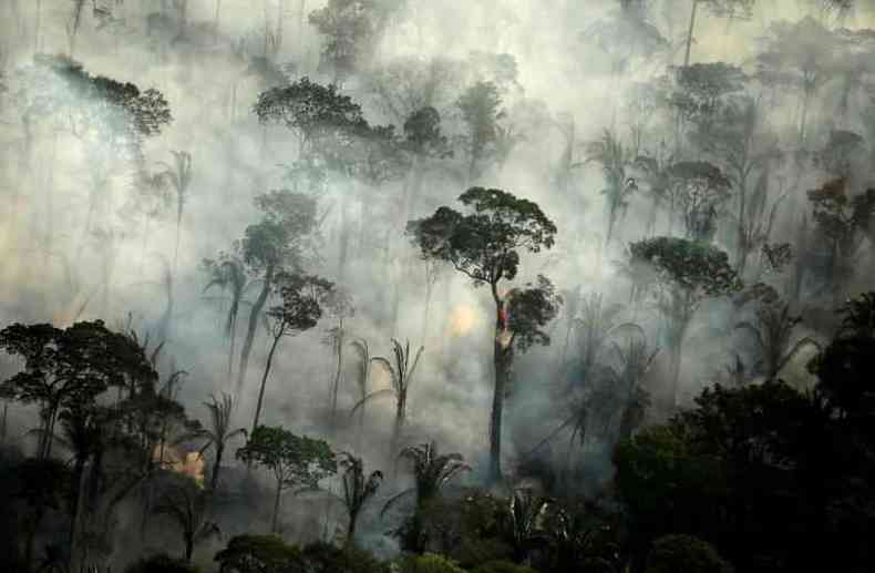 Brasil chega a encontro multilateral pressionado a reduzir desmatamento na Amaznia(foto: Reuters)