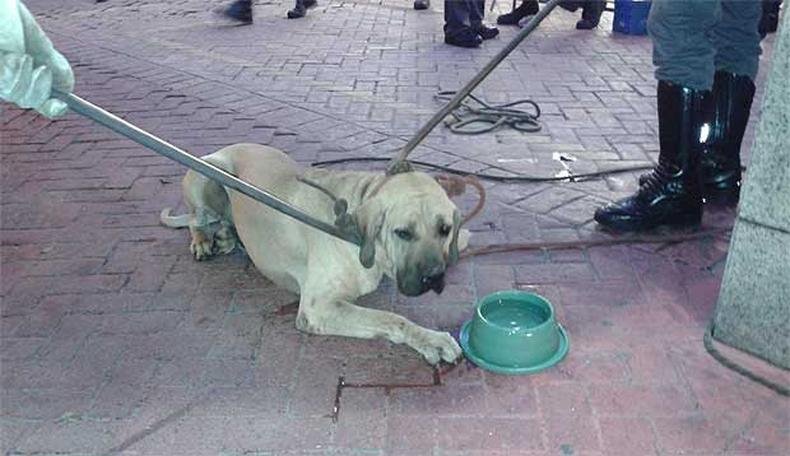 (foto: Tomaz de Alvarenga/Esp EM DA Press) (foto: Tomaz de Alvarenga/Esp EM DA Press)