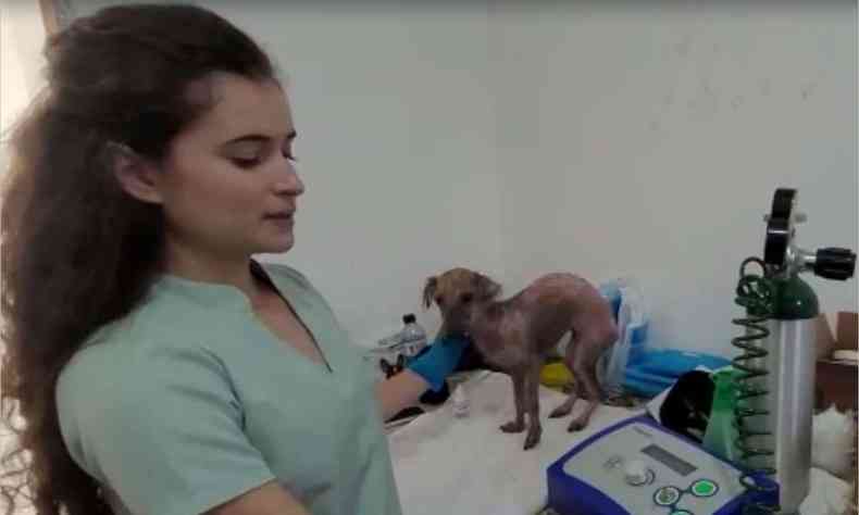 Mdica veterinria Ana Luiza Silva Nunes e a cadela Fnix