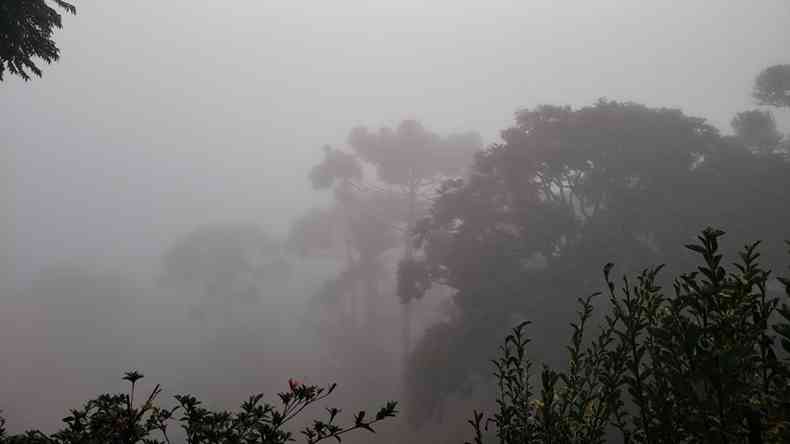 Monte Verde amanheceu com muita neblina nesta quarta-feira (19)(foto: Nelson Pacheco )