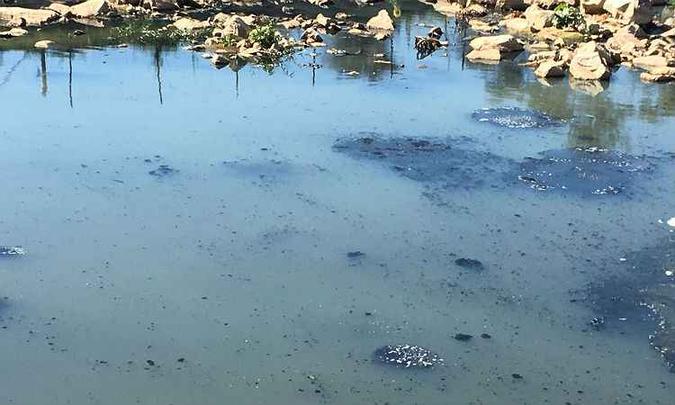 Manchas foram identificadas na Lagoa da Pampulha nessa sexta-feira(foto: SEMAD/Divulgação) Manchas foram identificadas na Lagoa da Pampulha nessa sexta-feira(foto: SEMAD/Divulgação)