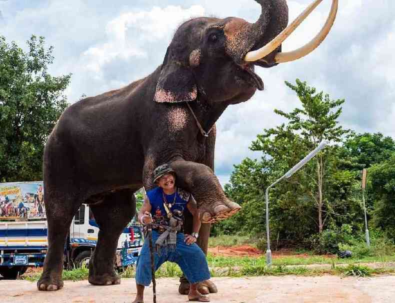 Kwanmuang, de 18 anos, e seu 'mahout' Lek