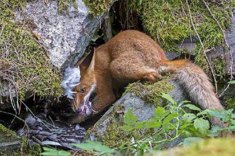 (foto: Liina Heikkinen/WPY2020)