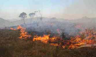 Incndio consome mata da Serra do Cip em uma das 471 ocorrncias registradas no ano: falta de estrutura em reservas dificulta combate(foto: Beto Novaes/EM/DA Press - 14/10/15)