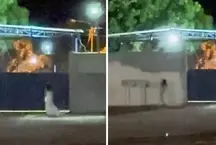 Mulher chama ateno vestida de noiva em frente ao cemitrio