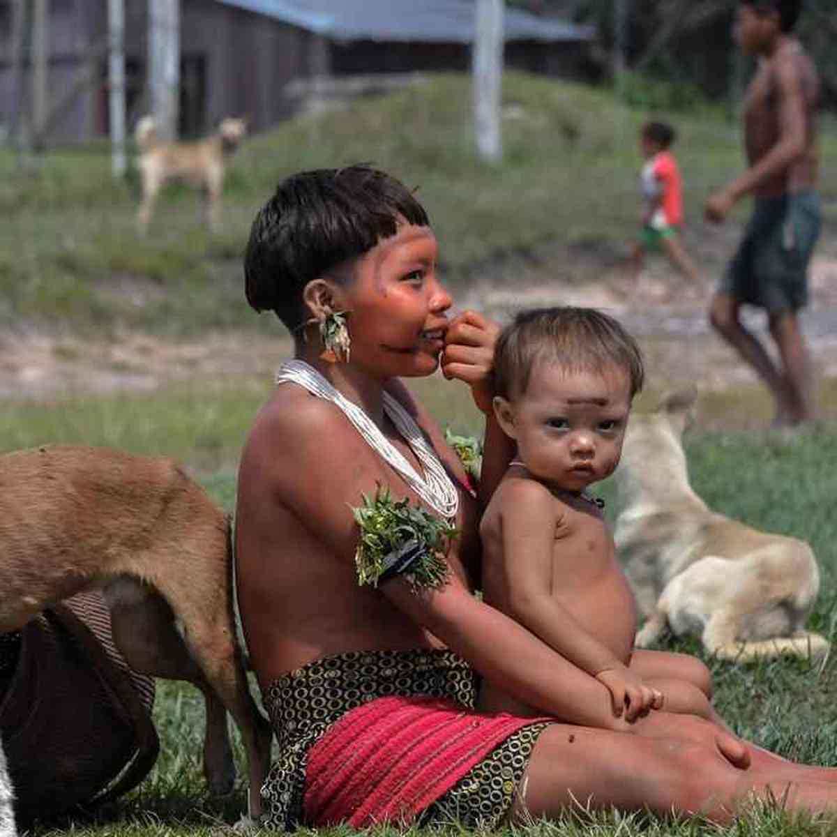 Damares diz que governo anterior é alvo de mentiras sobre Yanomamis