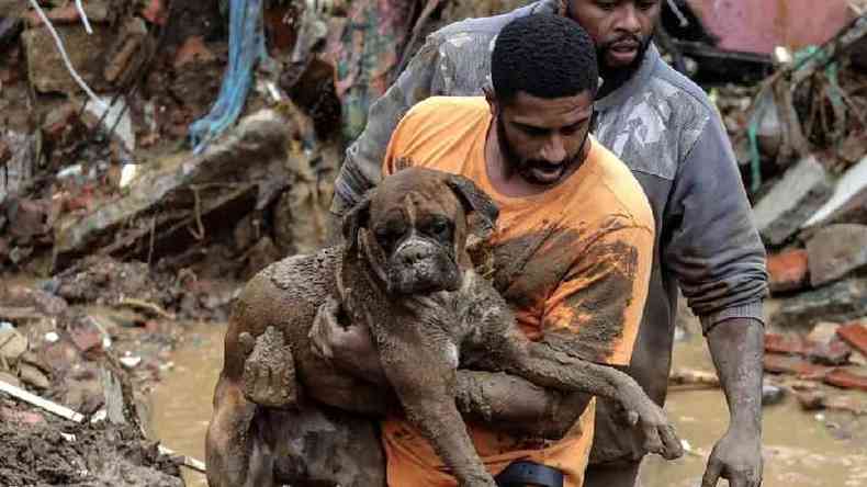 Homem resgata cachorro em meio  lama em Petrpolis