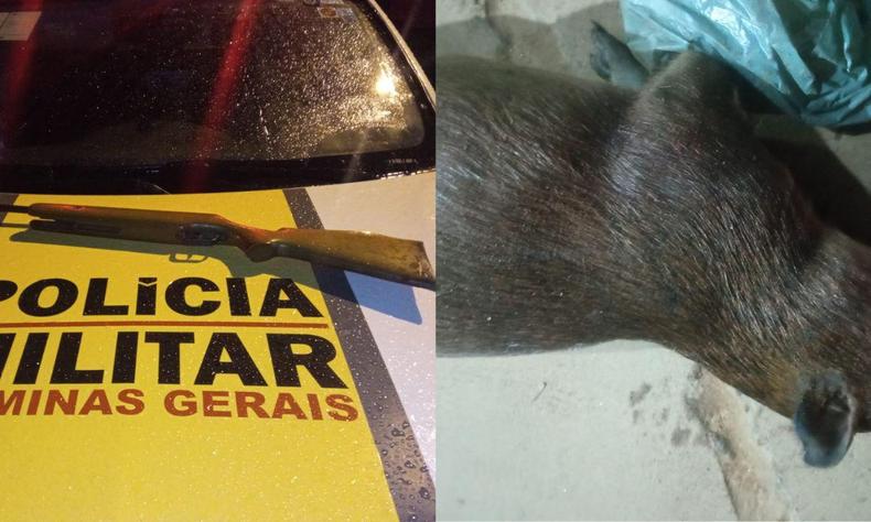 O animal, a motocicleta e a arma de fogo foram apreendidos(foto: Divulgação/PMRv) O animal, a motocicleta e a arma de fogo foram apreendidos