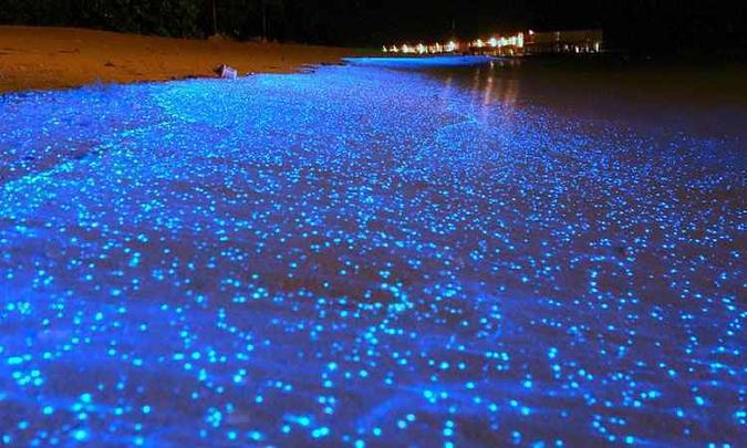Exemplo de bioluminescência gerada pelos fitoplânctons nas ilhas Maldivas.(foto: When On Earth/Dvulgação) Exemplo de bioluminescência gerada pelos fitoplânctons nas ilhas Maldivas.(foto: When On Earth/Dvulgação)