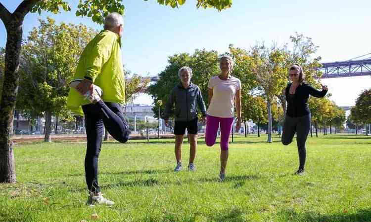grupo de aposentados ativos maduros vestindo roupas esportivas, fazendo exerccios matinais na grama