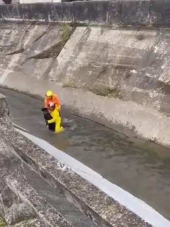Cachorro foi resgatado dentro de um crrego em Barbacena