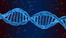 Cientistas ampliam conhecimento da genética humana; entenda