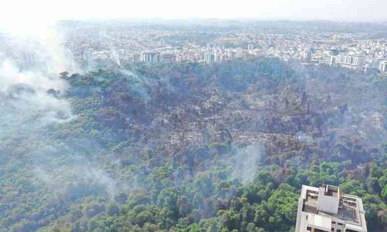 Extenso da rea queimada no parque(foto: Corpo de Bombeiros/Divulgao)
