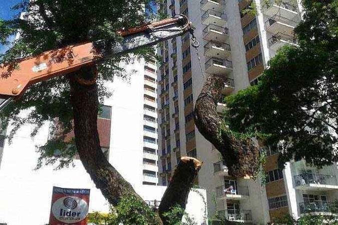 (foto: Juliana Cavalcanti/ CB DA Press)