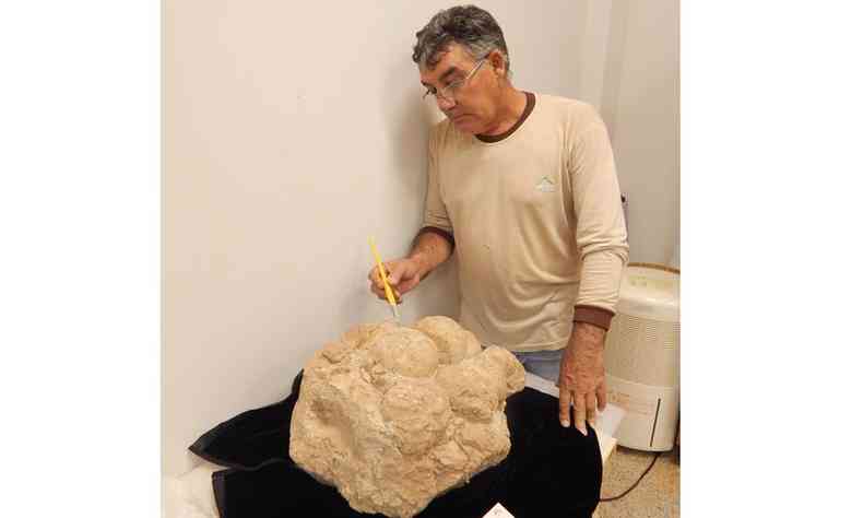O preparador de fsseis do Museu Paleontolgico de Uberaba, Joo Ismael da Silva