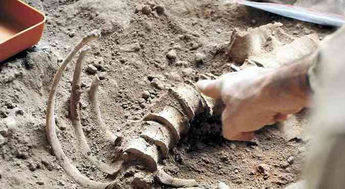 Esqueletos do casal de idosos descobertos no stio foram enterrados juntos(foto: (Paulo Filgueiras/EM/D.A Press))