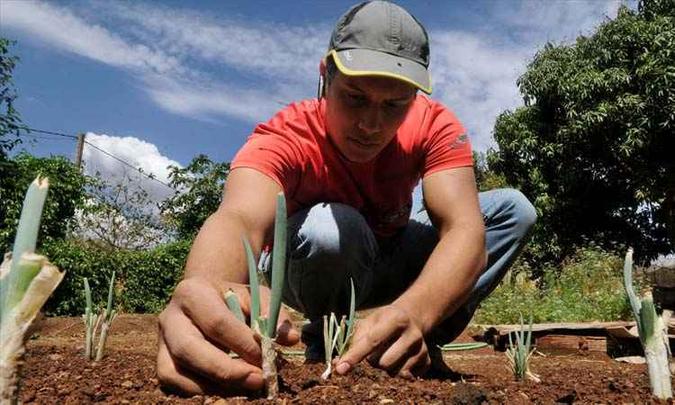 Os parlamentares ligados ao agronegócio afirmam que o PL abre espaço para novos pesticidas(foto: Flickr) Os parlamentares ligados ao agronegócio afirmam que o PL abre espaço para novos pesticidas(foto: Flickr)