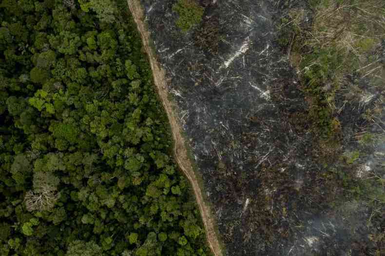 Vista area de rea amaznica queimada na regio de Porto Velho (RO)