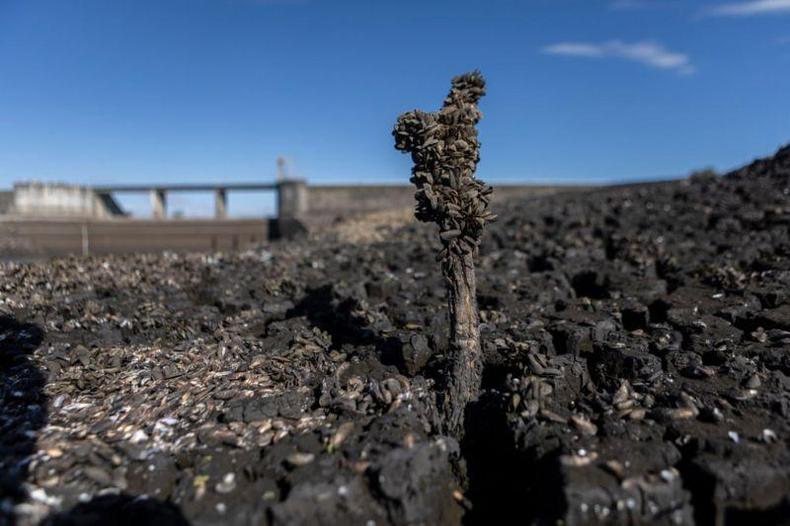 Onde antes havia gua doce reservada para contribuir com o abastecimento quando o fluxo do rio Santa Luca no era suficiente, agora h terra seca e rachada