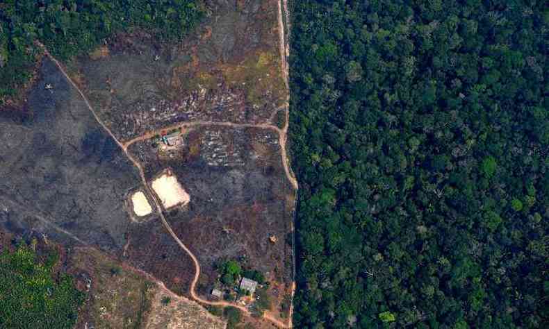 Imagens areas feitas ontem mostram uma parte da Floresta Amaznica devastada pelas queimadas (foto: Carl DE SOUZA/AFP)