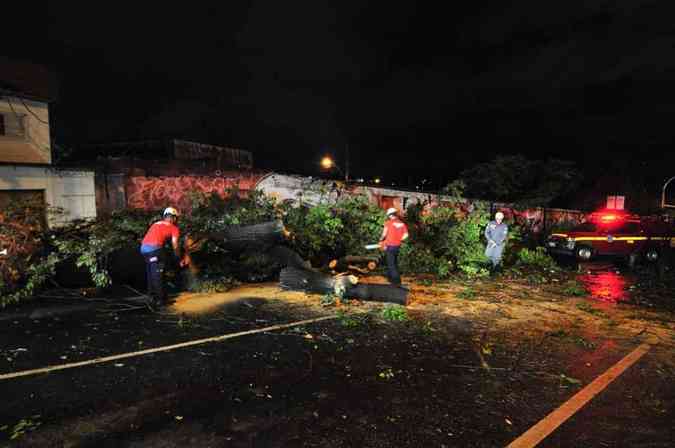 rvore caiu na Avenida Antnio CarlosMarcos Vieira/ D.A Press