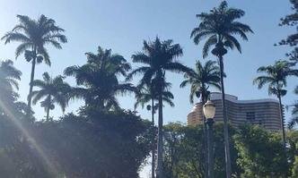 Temperatura em BH pode chegar aos 29 graus. Na foto, palmeiras da Pra�a da Liberdade(foto: Ed�sio Ferreira/EM/DA Press)