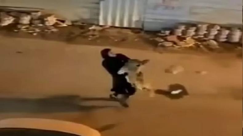 Mulher carregando leo de estimao pelas ruas do Kuwait
