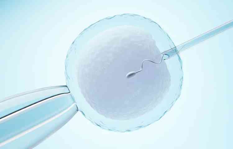 Fertilizao in vitro