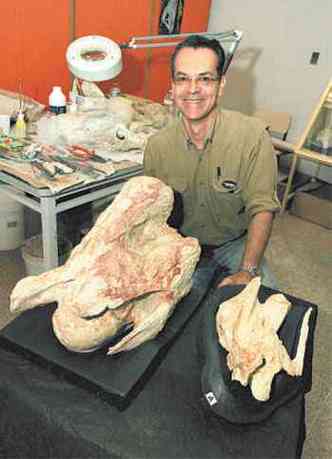 Luis Carlos Ribeiro, gelogo da UFTM e um dos responsveis pela descoberta, mostra a diferena de tamanho da vrtebra encontrada este ano para outra descoberta h alguns anos(foto: L. ADOLFO/ESP. EM/D.A PRESS)