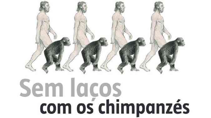 Teoria da Evolução: por que é errado dizer que viemos dos macacos