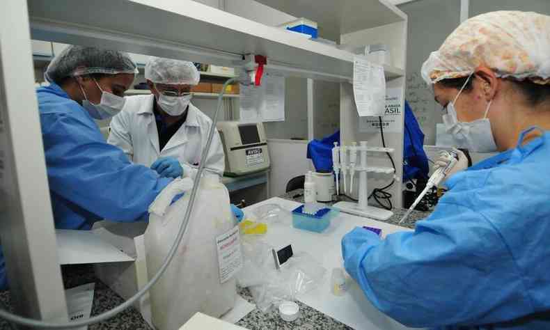 Laboratorio de Vacinas do BHTec da UFMG(foto: Gladyston Rodrigues/EM/D.A Press)