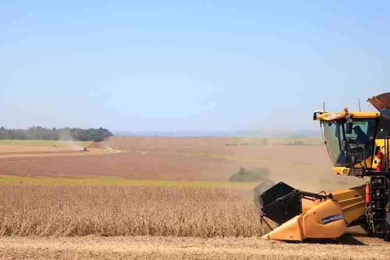 Lavoura de soja: agricultura brasileira  grande exportadora e tem liderado bons resultados do setor(foto: Monsanto/Divulgao 16/8/18)