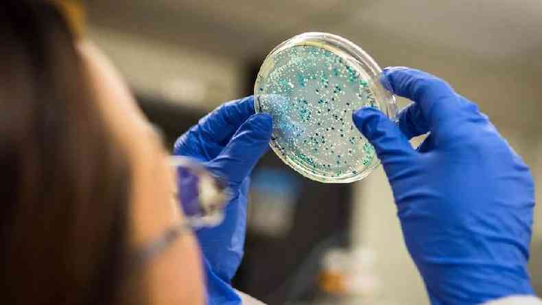 bactrias sendo analisadas por cientista