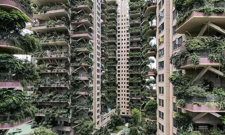 Os apartamentos desta rea residencial tm varandas com vegetao abundante(foto: STR / AFP )