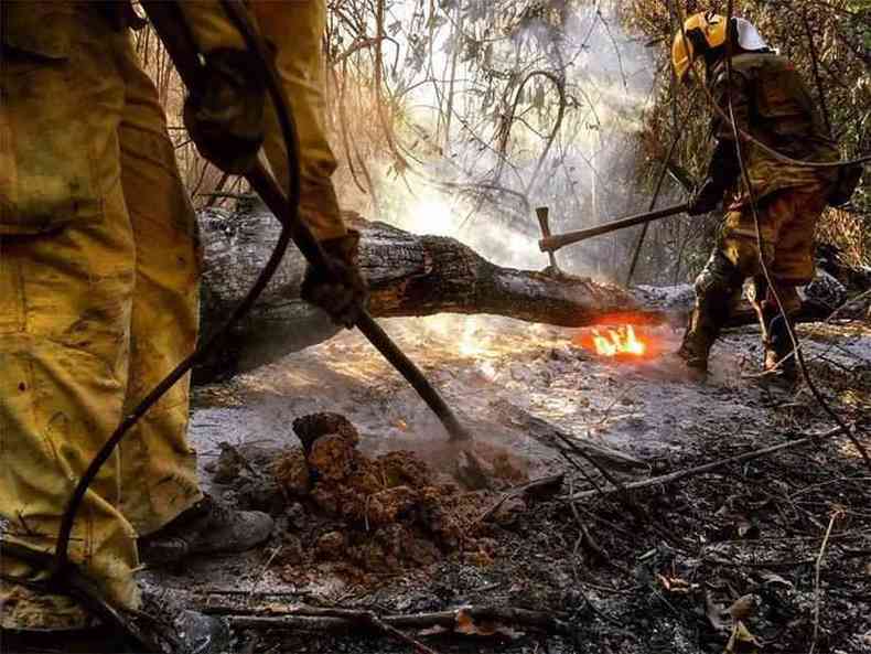 Militares tiveram trabalho para conter s chamas(foto: Corpo de Bombeiros/Divulgao)