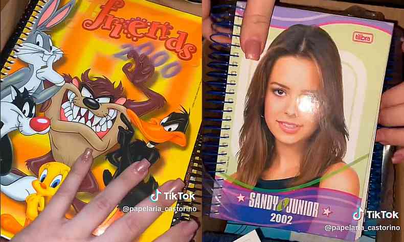 Caderno dos anos 90 do Looney Tunes e caderno do Sandy e Junior
