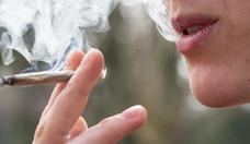 Usuário de maconha não é mais preguiçoso e desmotivado, diz estudo